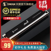 Swan harmonica, adult beginner, 24 hole student, children major, 28 hole accent polyphony major, performance level, C key