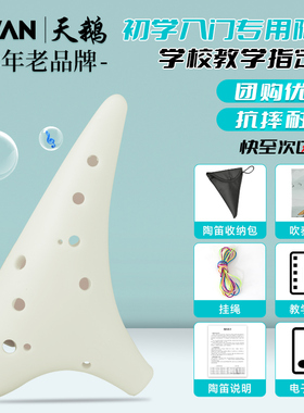 天鹅陶笛乐器12孔AC中音小学生儿童初学者十二树脂塑料专业调T02