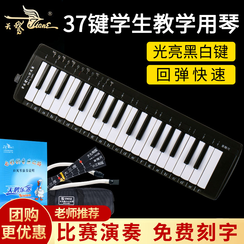 天鹅全乐理37键口风琴初学专业演奏级口吹琴吹管乐器小学生用儿童