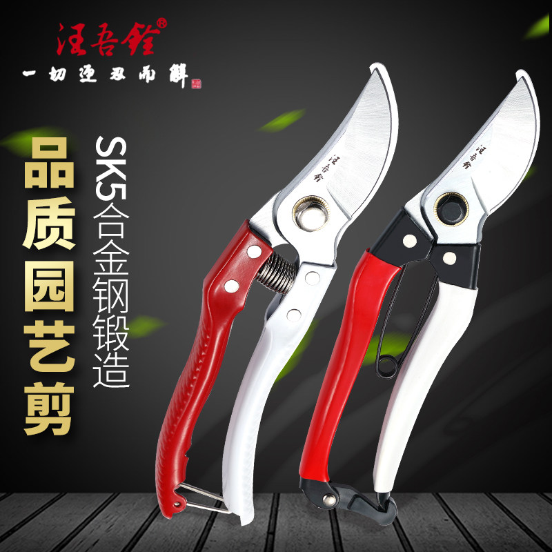 汪吾铨剪刀修树枝剪枝剪园林园艺剪刀果树修剪工具果园家用园艺剪