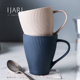 ijarl马克杯小众设计感水杯情侣杯子家用咖啡杯办公室茶杯喝水杯