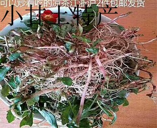 野生马兰头根 干货 泡茶炒菜吃的凉茶2件发货包邮