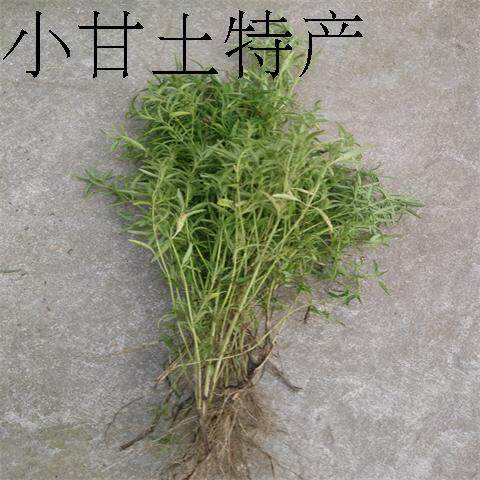 野生石香薷干货去暑茶凉茶叶清凉茶全国包邮2斤起送野生红豆