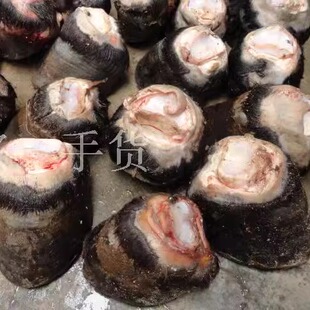 2个带壳带毛蹄子黑驴蹄子小蹄子带壳蹄子完整新鲜正宗特惠