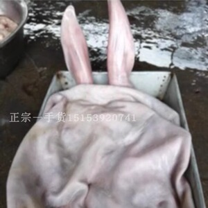 正宗纯驴皮整张带耳朵特惠