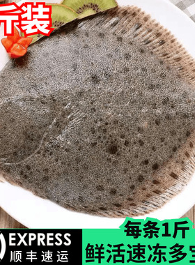 新鲜超大多宝鱼鲜活冷冻特大比目鱼海鲜水产海鱼鲽鱼鸦片鱼菱平鱼