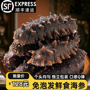 鲜食海参独立包装野生福建霞浦非开袋即食深海刺参鲜活冷冻500g