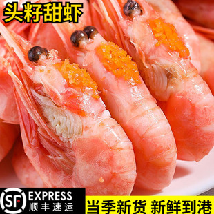 北极熊头籽北极虾甜虾生吃刺身大号即食非腹籽新鲜元 宝冰虾5 10斤