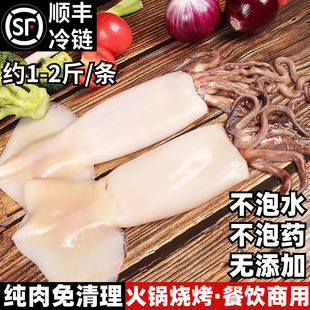 鱿鱼鲜活冷冻新鲜超大鱿鱼尤鱼整只海捕船冻烧烤铁板商用海鲜水产