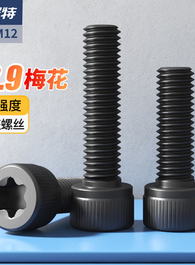 12.9级高强度梅花孔螺丝钉圆柱头内六角螺栓M3M4M5M6M8M10M12*30