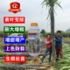 申晶雅壮丰素甘蔗营养液增甜专用水溶叶面肥料甘蔗稍腐病