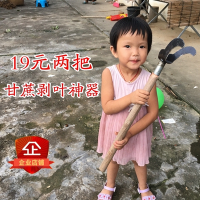 广西新款黑皮甘蔗专用剥叶神器轻松给果蔗修剪拔叶弯刀工具