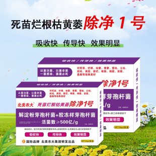 死苗烂根枯黄萎除净1号杀菌剂番茄辣椒黄瓜茄子草莓青枯病根腐病