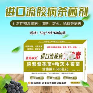 进口流胶病特效素杀菌剂柑橘果树樱桃树黄瓜流胶病穿孔病专用药
