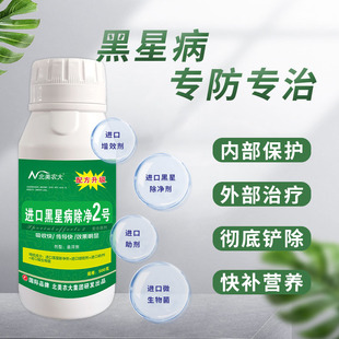 黑星病专用药黄瓜果树梨树柑橘黑星病药 进口黑星病除净2号杀菌剂