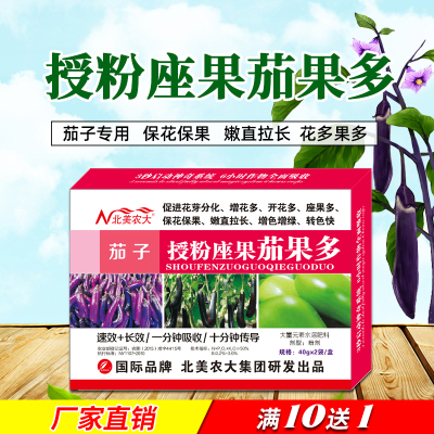 茄子授粉座果茄果多授粉素效果好