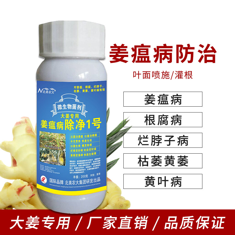 姜瘟病除净1号杀菌剂专用药生姜瘟净 大姜烂脖子枯萎茎基腐黄叶病