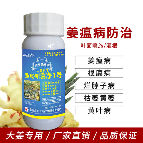 姜瘟病专用药生姜杀菌剂北美农大