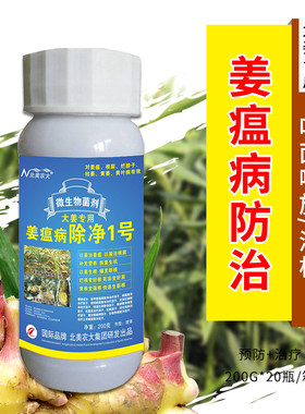生姜大姜烂脖子病姜瘟病杀菌剂