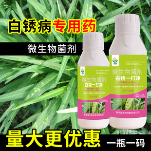 白锈病一打净蔬菜空心菜白锈病专用药大白菜苋菜白锈病杀菌剂正品