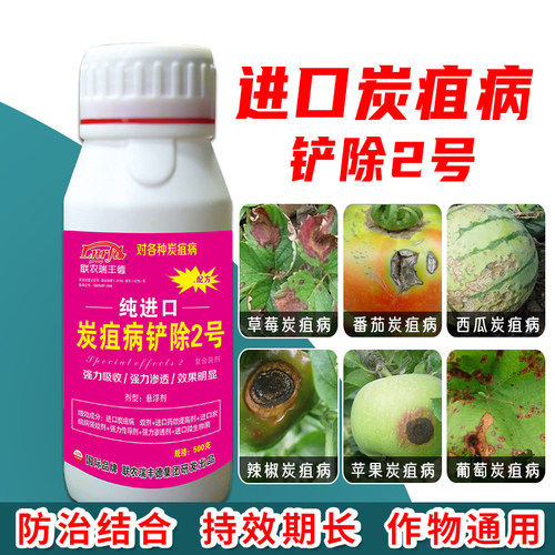 北美农大炭疽病药效果好正品