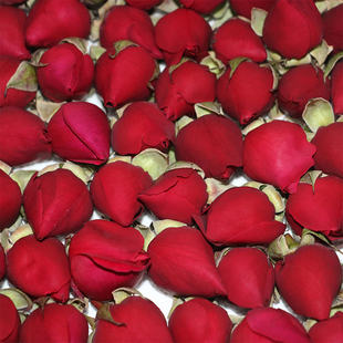 食用玫瑰花可摘花瓣云南墨红玫瑰花苞新鲜花骨朵花蕾1斤航空包邮