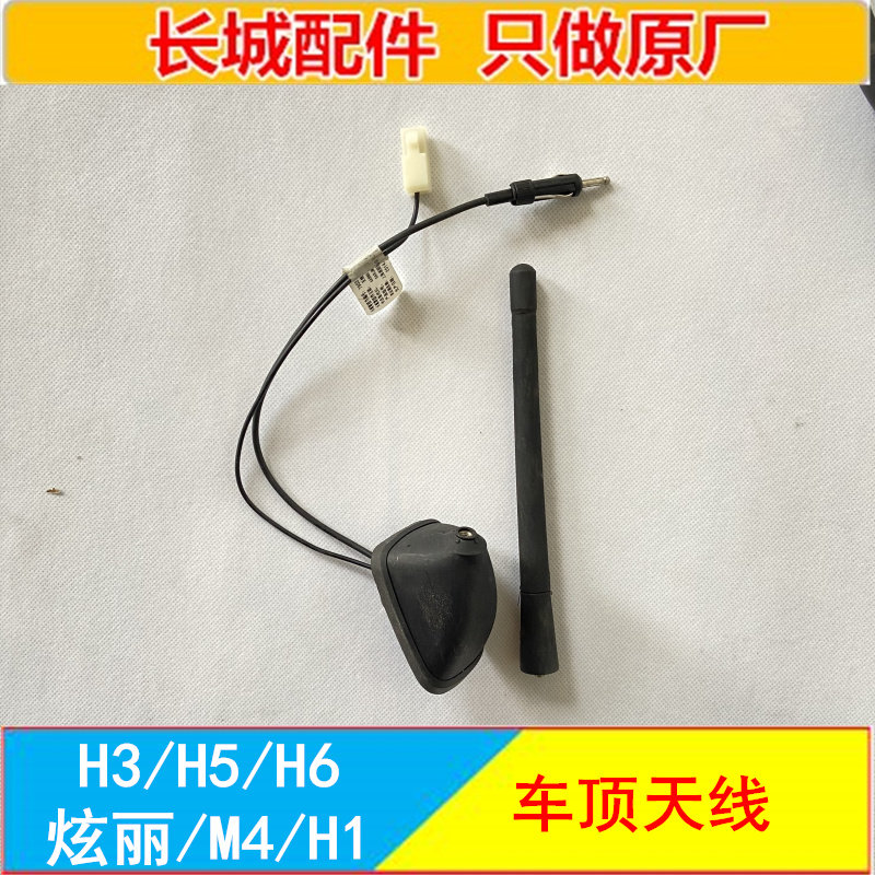 HAVAL H3H5H6 HAVAL M4 눈부신 H1 지붕 안테나 막대 안테나 라디오 안테나