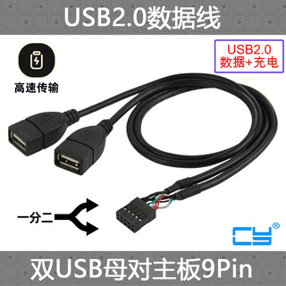 辰阳 台式机内置双口延长线 主板9Pin转USB2.0两口扩展线  50cm