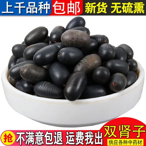 西藏自治区散装正品双肾子