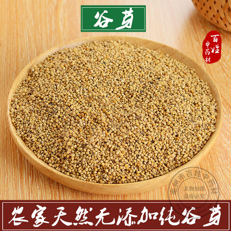 谷芽中药材 生谷芽 新鲜干货500g克包邮 另售炒谷芽生稻芽生麦芽
