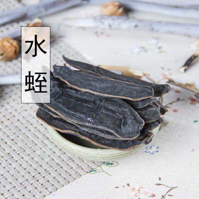 中药材正品宽体金线清水蛭