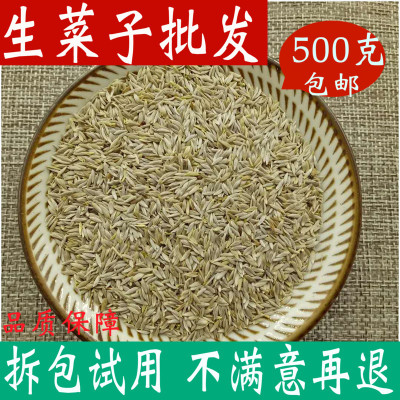 生菜籽包邮500g可粉免邮补钙