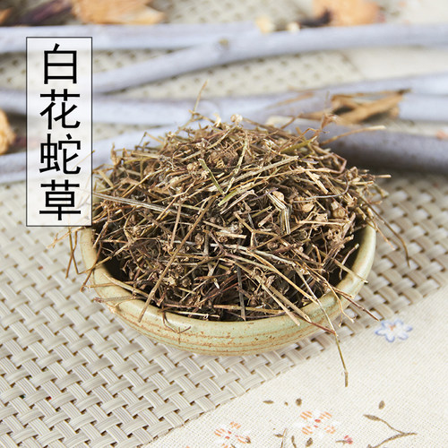 野生半枝莲铁树叶白花蛇草包邮