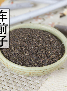 散装中药材车前子正品