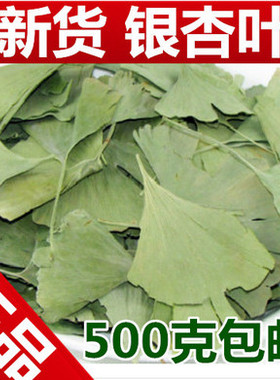 银杏叶中药材正品茶叶泡水泡茶银杏叶子干货飞蛾叶鸭脚子白果树叶