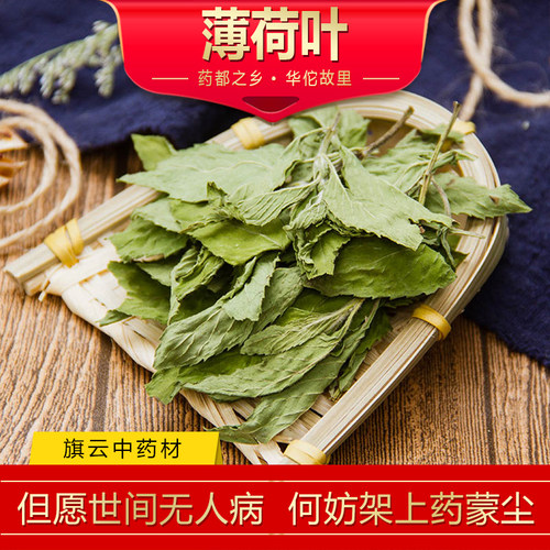 新鲜薄荷叶中药材500g包邮