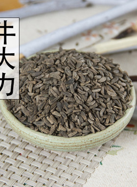 野生天然大力子中草药