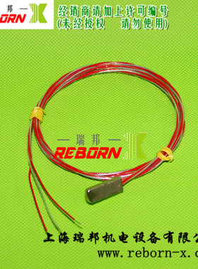 REBORN高品质进口A级贴片表面扁形铂电阻 扁平状薄片Pt100热电阻