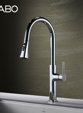 观博GABO厨房龙头家用抽拉式水槽龙头洗菜盆水龙头可旋转18RH016B