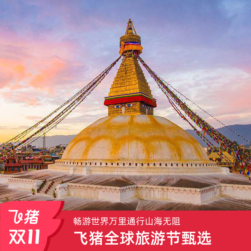 上海领馆备案送签社 专业靠谱 90天多次类型可用于银行开户  最快可30分钟出签 超级市中心门店 可上门递交材料 安全放心