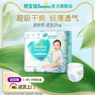 干爽L 帮宝适清新帮透氧Pro拉拉裤 3XL尿不湿尿裤 散热超薄透气
