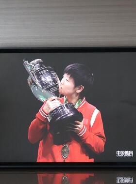 【孙颖莎王楚钦专属】4Kb58K明亮的心海报明星周边双面透明相框