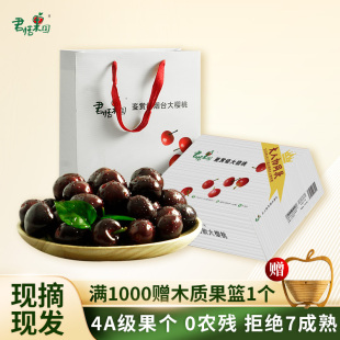 君恬果园鉴赏级温室美早大樱桃山东烟台车厘子礼品福利大果32mm