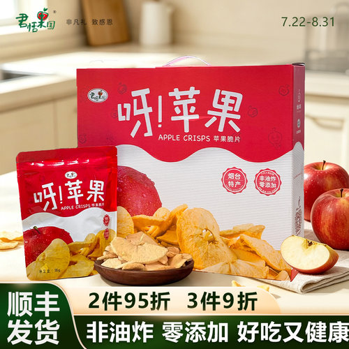君恬苹果脆片烟台特产零食礼盒