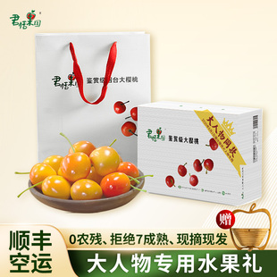 君恬果园鉴赏级佳红大樱桃烟台黄车厘子新鲜时令水果礼盒礼品现货