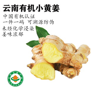 云南有机小黄姜正宗老姜带泥生姜孕妇月子姜土姜蔬菜可生食无农残