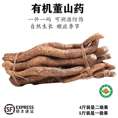 【2025年现挖】有机董山药新鲜粉糯清炒自然熟雅安老品种营养粗粮