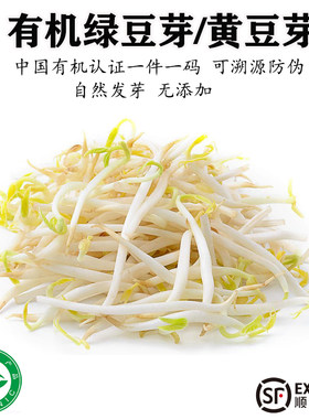 有机绿豆芽新鲜蔬菜黄豆芽清脆爽口自然发芽无农残无添加新鲜蔬菜