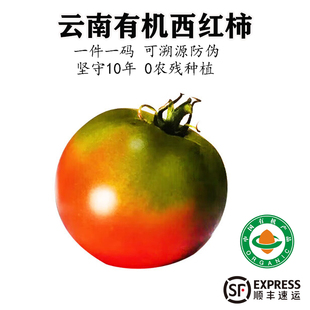 云南有机虎眼西红柿瑞粉番茄自然熟可生吃水果现摘香甜多汁无农残