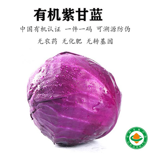 有机紫甘蓝新鲜蔬菜生吃沙拉食材圆包菜当季时令凉拌有机认证孕妇